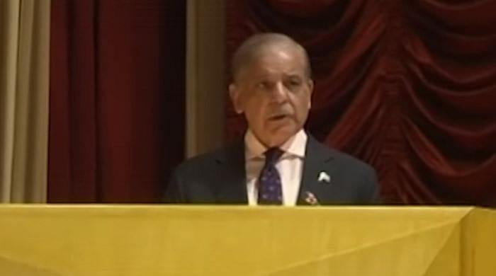 Pakistan responded decisively to India’s provocations on battlefield, diplomatic front: PM