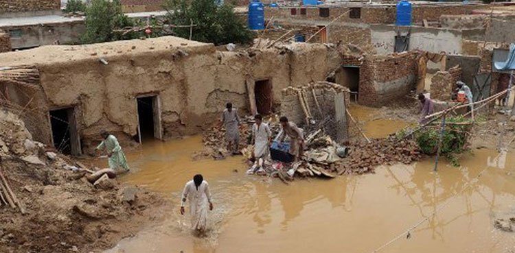 19 killed, six injred in KP torrential rains, floods: PDMA